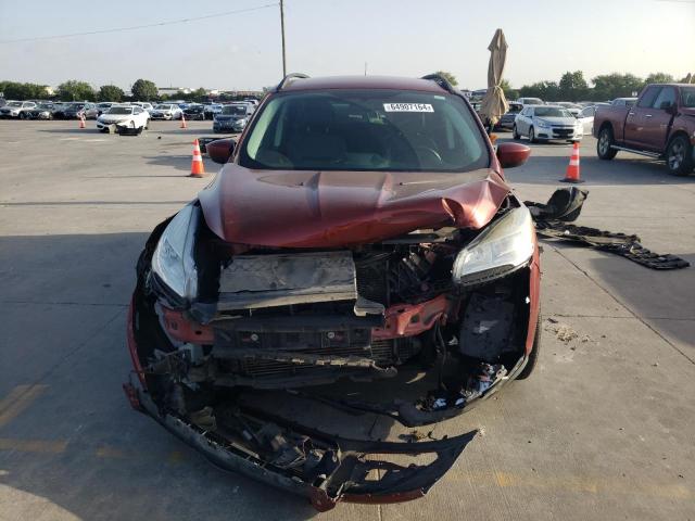 Photo 5 from auction – 2014 FORD ESCAPE SE with VIN 1FMCU0G92EUD58024