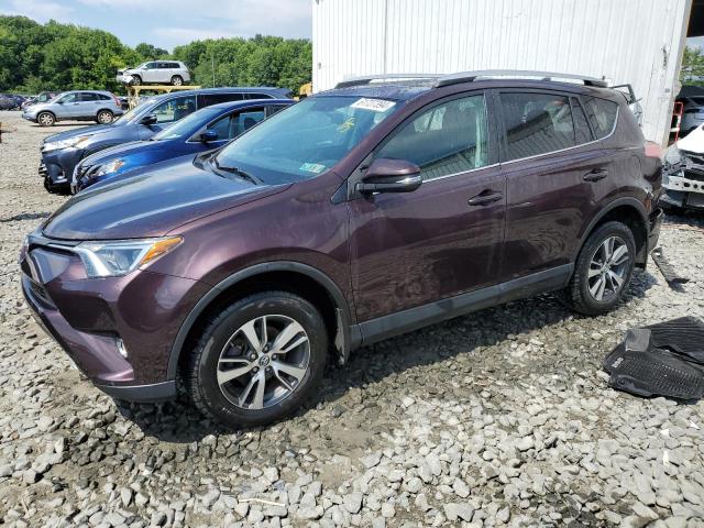 TOYOTA RAV4 XLE 2016 with VIN 2T3RFREV9GW535896 - Photo from auction