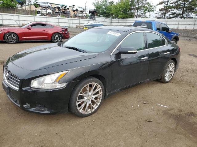 NISSAN MAXIMA S 2010 with VIN 1N4AA5AP3AC840211 - Photo from auction