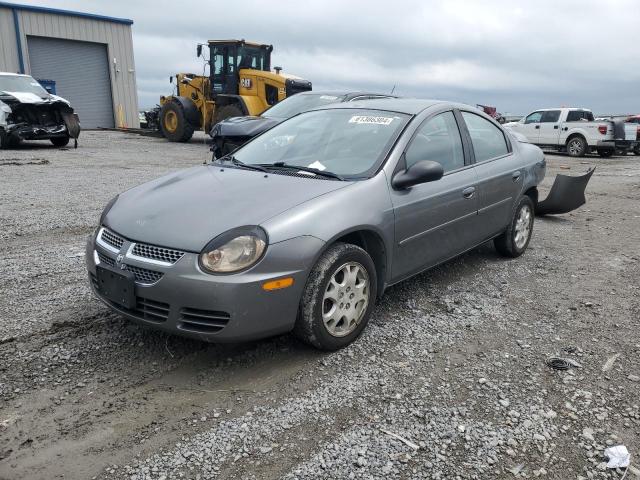 DODGE NEON SXT 2005 with VIN 1B3ES56C25D255328 - Photo from auction