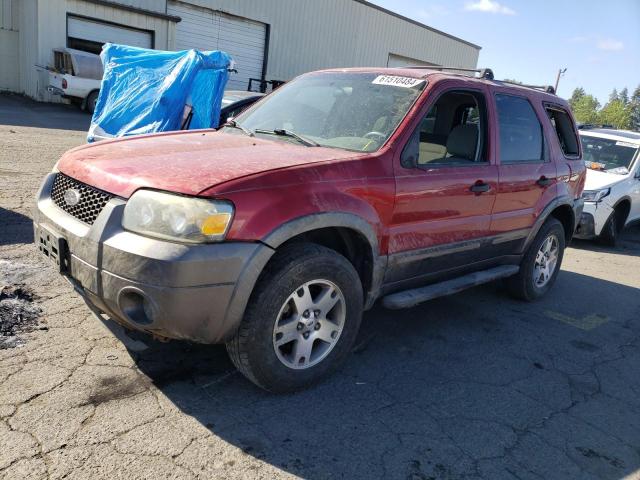 FORD ESCAPE XLT 2005 with VIN 1FMYU93195KD40254 - Photo from auction