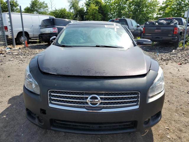 Photo 5 from auction – 2010 NISSAN MAXIMA with VIN 1N4AA5AP4AC846356