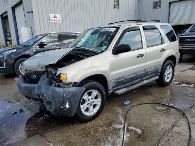 FORD ESCAPE XLT 2006 with VIN 1FMYU03166KA78934 - Photo from auction