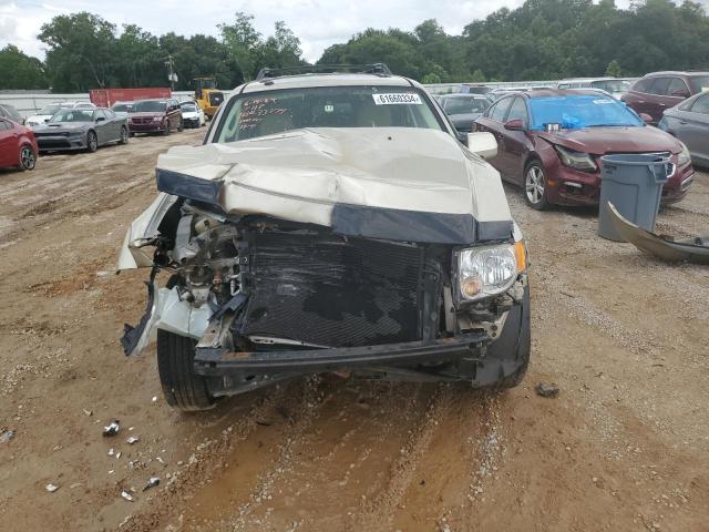 Photo 5 from auction – 2011 FORD ESCAPE LIM with VIN 1FMCU0EG5BKC29476