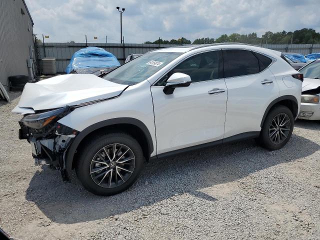 LEXUS NX 350H BA 2024 with VIN 2T2AKCEZ3RC029028 - Photo from auction