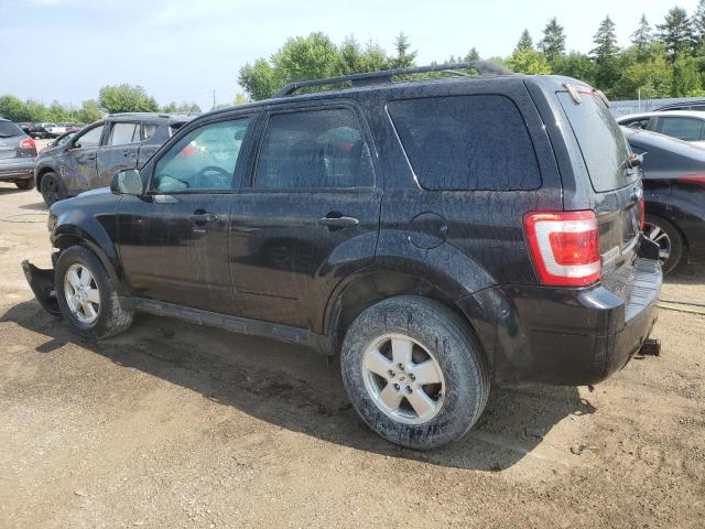 Photo 2 from auction – 2011 FORD ESCAPE XLT with VIN 1FMCU0D72BKB61607