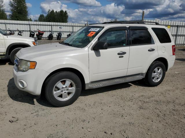 FORD ESCAPE XLT 2010 with VIN 1FMCU0DG7AKA45723 - Photo from auction