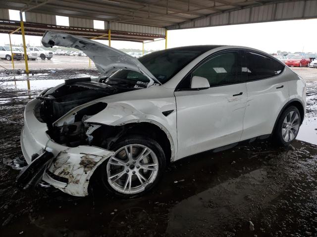 TESLA MODEL Y 2021 with VIN 5YJYGDEEXMF096639 - Photo from auction