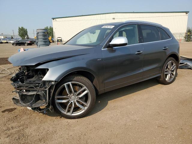 AUDI SQ5 TECHNI 2016 with VIN WA1LCAFP9GA032281 - Photo from auction