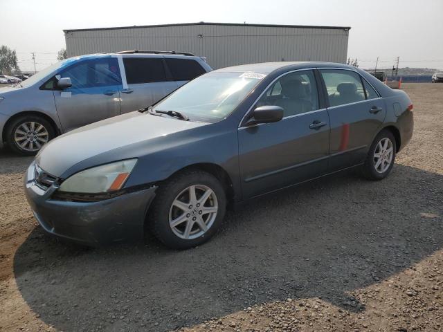 HONDA ACCORD EX 2004 with VIN 1HGCM66464A801435 - Photo from auction