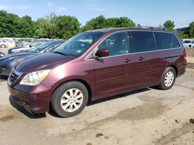 HONDA ODYSSEY 2009 with VIN 5FNRL38739B020663 - Photo from auction