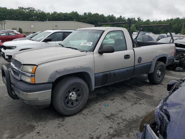 CHEVROLET SILVER1500 2005 with VIN 1GCEK14X65Z169519 - Photo from auction