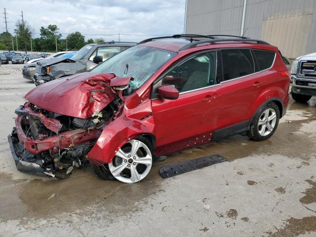 FORD ESCAPE SE 2014 with VIN 1FMCU0GX5EUA75308 - Photo from auction