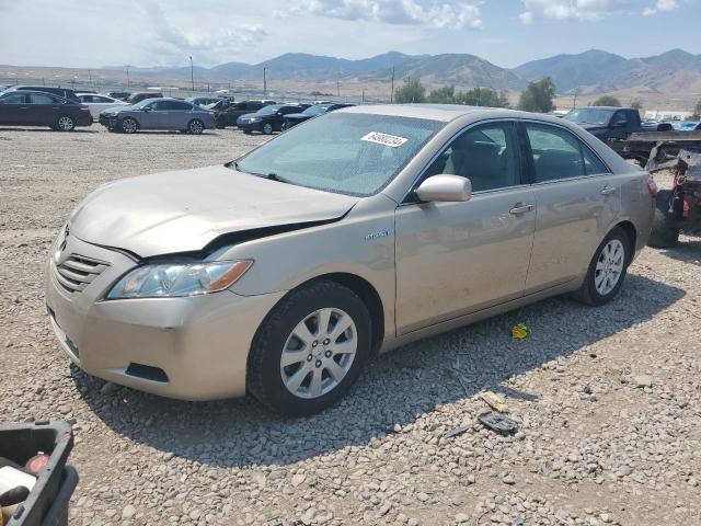 TOYOTA CAMRY HYBR 2009 with VIN 4T1BB46K39U080317 - Photo from auction