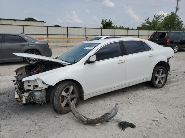 CHEVROLET MALIBU LS 2012 with VIN 1G1ZA5E01CF289202 - Photo from auction