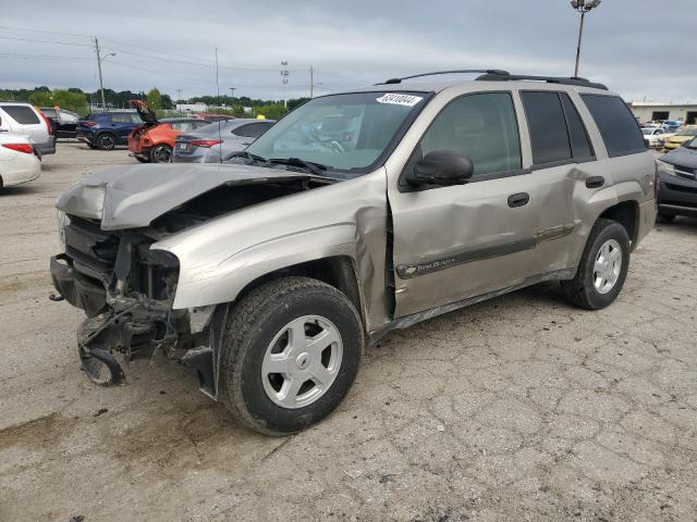 CHEVROLET TRAILBLAZE 2003 with VIN 1GNDT13S232298515 - Photo from auction