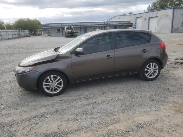 KIA FORTE EX 2011 with VIN KNAFU5A27B5320964 - Photo from auction
