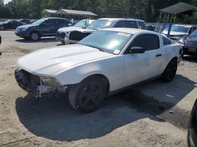 FORD MUSTANG 2012 with VIN 1ZVBP8AM3C5226493 - Photo from auction