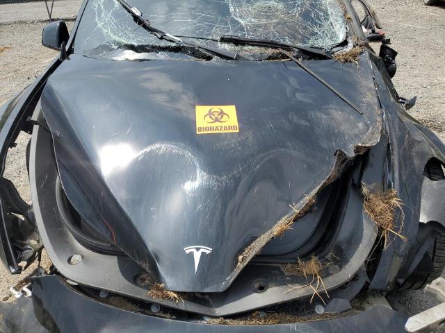 Photo 11 from auction – 2023 TESLA MODEL Y with VIN 7SAYGDEF5PF903519