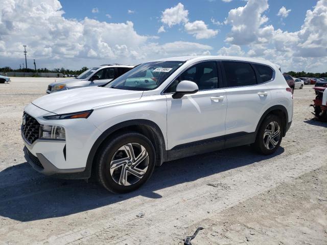 HYUNDAI SANTA FE S 2021 with VIN 5NMS14AJ2MH357111 - Photo from auction