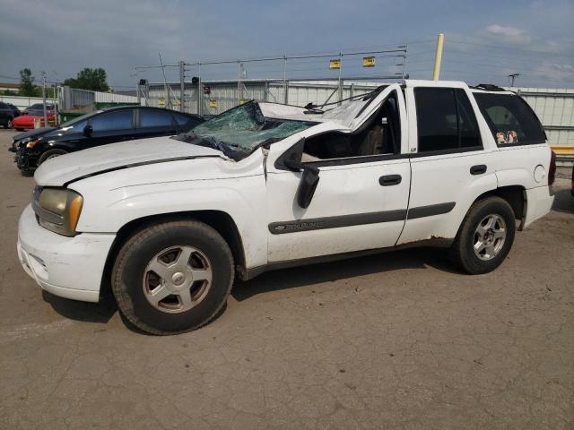 CHEVROLET TRAILBLAZE 2003 with VIN 1GNDT13S532164758 - Photo from auction