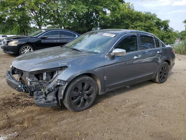 HONDA ACCORD EXL 2009 with VIN 1HGCP26859A031237 - Photo from auction