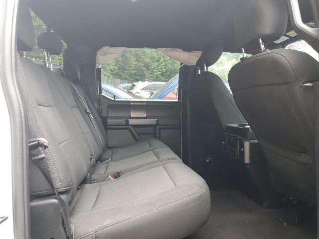 Photo 10 from auction – 2020 FORD F150 SUPER with VIN 1FTEW1EP6LFB82062