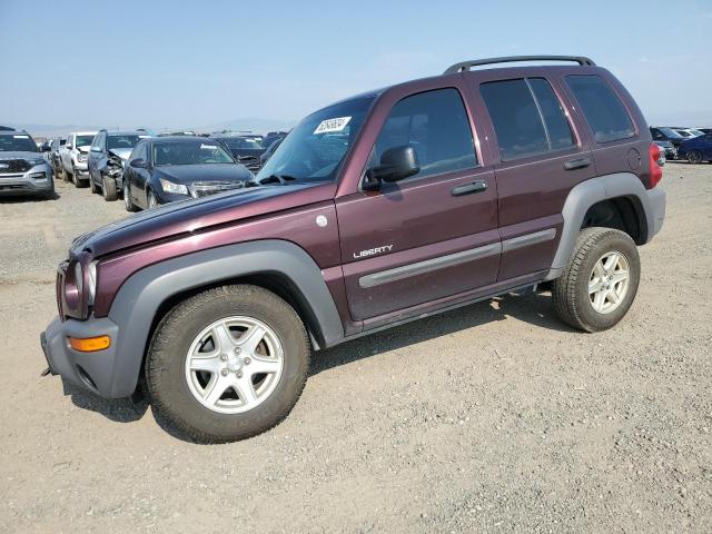 JEEP LIBERTY SP 2004 with VIN 1J4GL48K64W304496 - Photo from auction