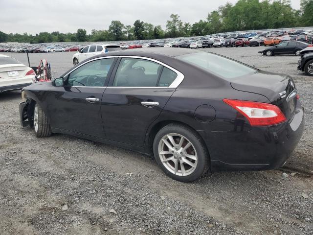Photo 2 from auction – 2011 NISSAN MAXIMA S with VIN 1N4AA5AP3BC818369
