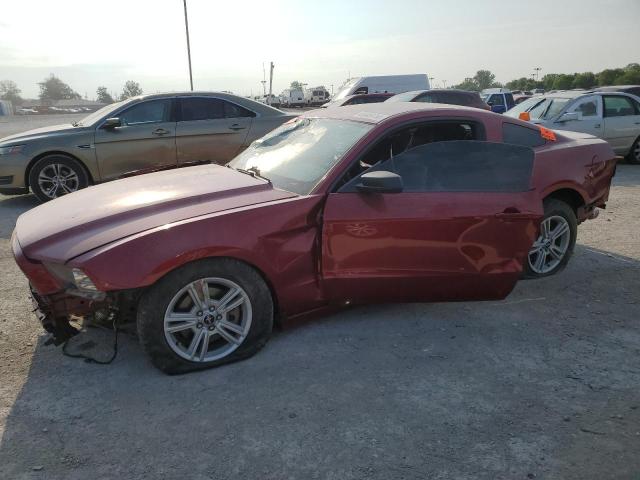 FORD MUSTANG 2014 with VIN 1ZVBP8AM4E5249364 - Photo from auction
