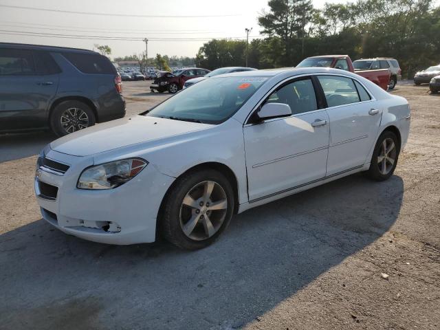 Photo 1 from auction – 2011 CHEVROLET MALIBU 1LT with VIN 1G1ZC5E18BF325811