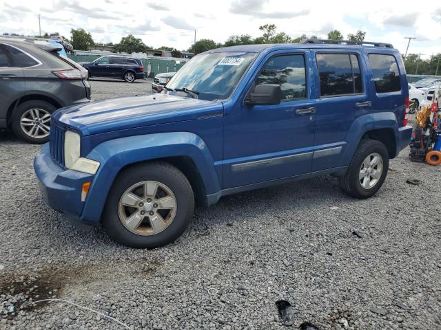JEEP LIBERTY SP 2010 with VIN 1J4PP2GK6AW106796 - Photo from auction