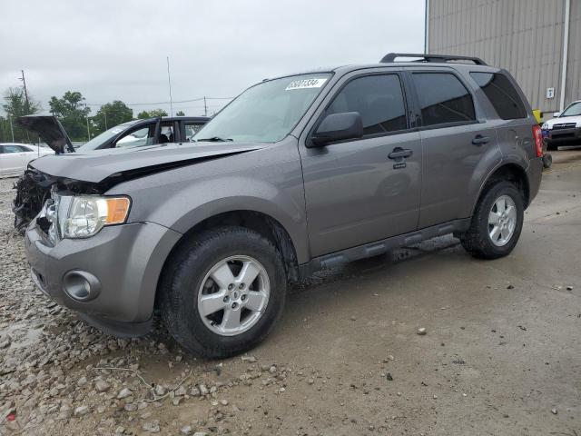 FORD ESCAPE XLT 2009 with VIN 1FMCU037X9KA13362 - Photo from auction