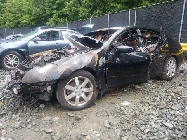 NISSAN MAXIMA SE 2004 with VIN 1N4BA41E84C887056 - Photo from auction