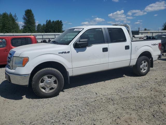 FORD F150 SUPER 2010 with VIN 1FTEW1E80AFB81432 - Photo from auction