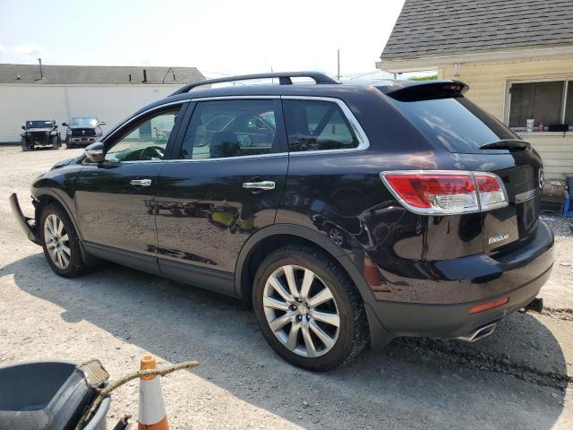 Photo 2 from auction – 2009 MAZDA CX-9 with VIN JM3TB38A290177658