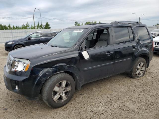 HONDA PILOT EXL 2011 with VIN 5FNYF4H56BB506624 - Photo from auction