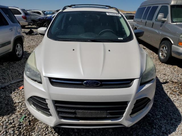 Photo 5 from auction – 2013 FORD ESCAPE SE with VIN 1FMCU9GX3DUD38480
