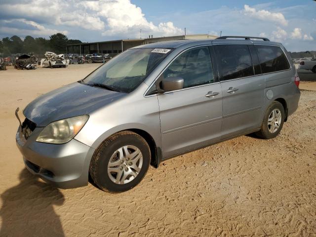HONDA ODYSSEY EX 2005 with VIN 5FNRL38785B131249 - Photo from auction