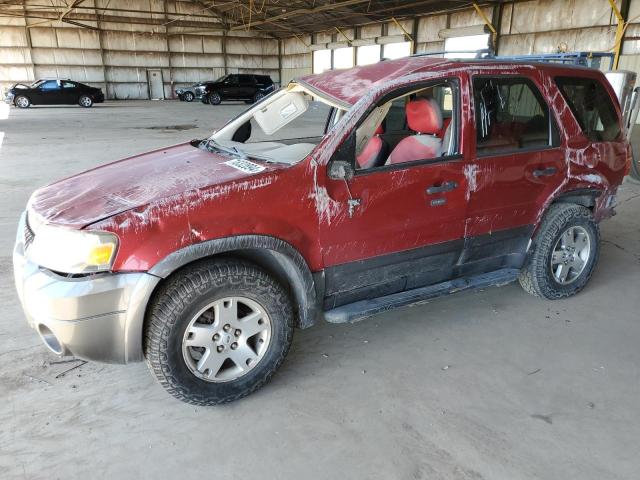 FORD ESCAPE XLT 2005 with VIN 1FMYU03135KA42391 - Photo from auction