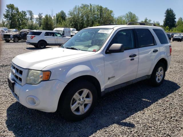 FORD ESCAPE 4D 2010 with VIN 1FMCU5K34AKC13086 - Photo from auction