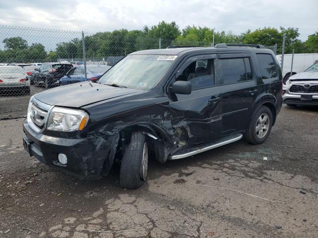 HONDA PILOT EXL 2009 with VIN 5FNYF48629B034876 - Photo from auction