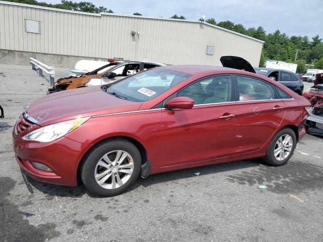 HYUNDAI SONATA GLS 2013 with VIN 5NPEB4AC4DH558507 - Photo from auction