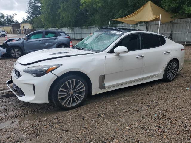 KIA STINGER 2019 with VIN KNAE15LA2K6045183 - Photo from auction