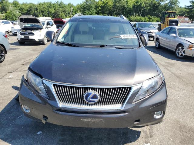 Photo 5 from auction – 2010 LEXUS RX 450 with VIN JTJBC1BAXA2415597