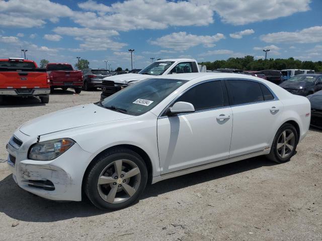 CHEVROLET MALIBU 1LT 2011 with VIN 1G1ZC5EU1BF162977 - Photo from auction