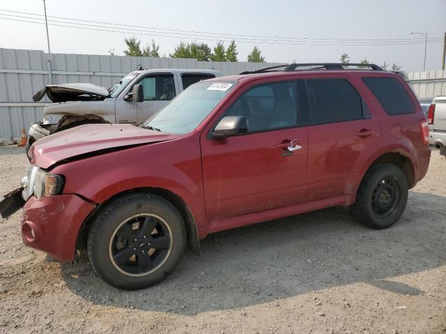 Снимка 1 от търг – 2012 FORD ESCAPE XLT с VIN 1FMCU9DG2CKB73116