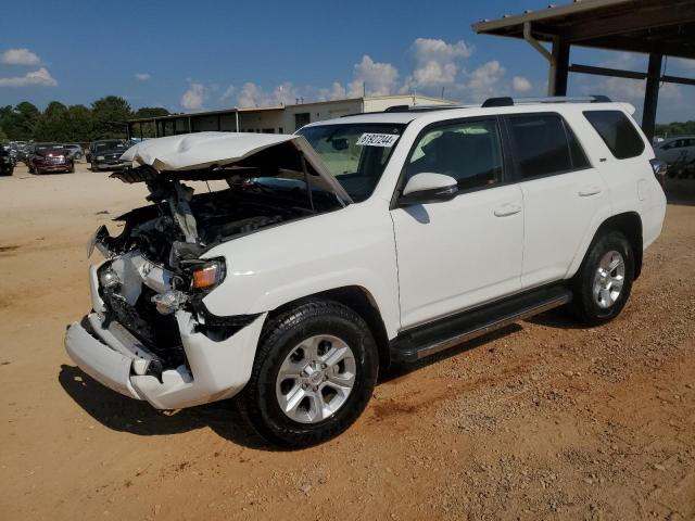 TOYOTA 4RUNNER SR 2019 with VIN JTEZU5JR5K5210696 - Photo from auction
