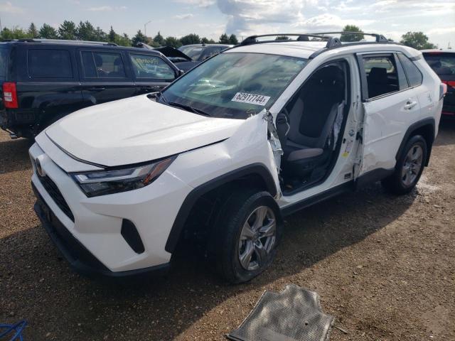 TOYOTA RAV4 XLE 2024 with VIN 2T3P1RFV4RC438565 - Photo from auction