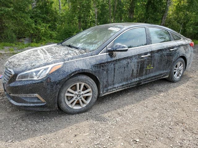 HYUNDAI SONATA SE 2017 with VIN 5NPE24AF2HH461144 - Photo from auction